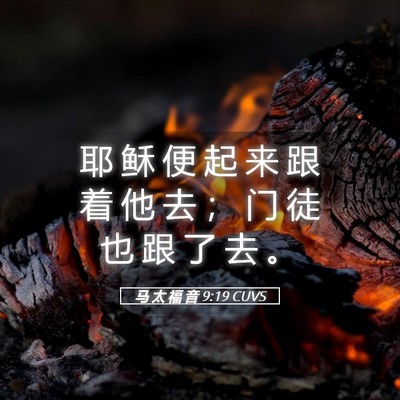 Picture 05 - 马 太 福 音 9:19 CUVS - 耶 稣 便 起 来 跟 着 他 去 ； 门 徒 - Bible Verse Picture
