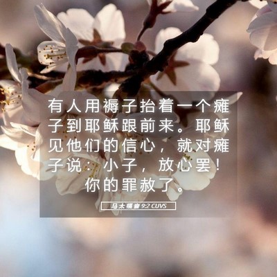 Picture 05 - 马 太 福 音 9:2 CUVS - 有 人 用 褥 子 抬 着 一 个 瘫 子 到 - Bible Verse Picture