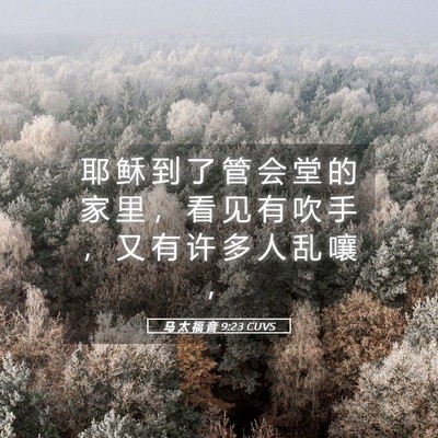 Picture 05 - 马 太 福 音 9:23 CUVS - 耶 稣 到 了 管 会 堂 的 家 里 ， 看 - Bible Verse Picture