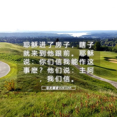 Picture 05 - 马 太 福 音 9:28 CUVS - 耶 稣 进 了 房 子 ， 瞎 子 就 来 到 - Bible Verse Picture