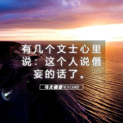 Picture 05 - 马 太 福 音 9:3 CUVS - 有 几 个 文 士 心 里 说 ： 这 个 人 - Bible Verse Picture