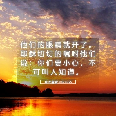 Picture 05 - 马 太 福 音 9:30 CUVS - 他 们 的 眼 睛 就 开 了 。 耶 稣 切 - Bible Verse Picture