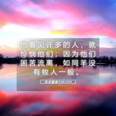 Picture 05 - 马 太 福 音 9:36 CUVS - 他 看 见 许 多 的 人 ， 就 怜 悯 他 - Bible Verse Picture