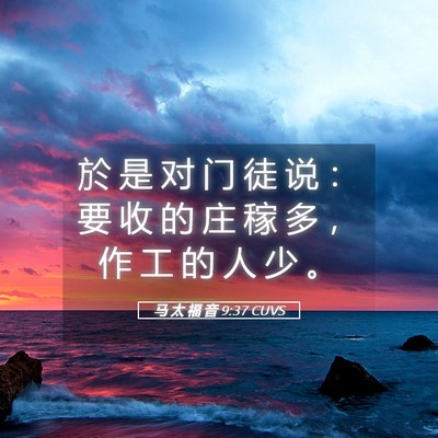 Picture 05 - 马 太 福 音 9:37 CUVS - 於 是 对 门 徒 说 ： 要 收 的 庄 稼 - Bible Verse Picture