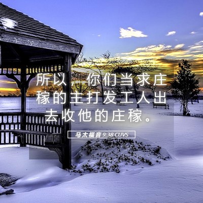 Picture 05 - 马 太 福 音 9:38 CUVS - 所 以 ， 你 们 当 求 庄 稼 的 主 打 - Bible Verse Picture