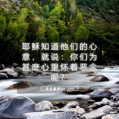 Picture 05 - 马 太 福 音 9:4 CUVS - 耶 稣 知 道 他 们 的 心 意 ， 就 说 - Bible Verse Picture