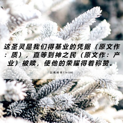 Picture 06 - 以 弗 所 书 1:14 CUVS - 这 圣 灵 是 我 们 得 基 业 的 凭 据 - Bible Verse Picture