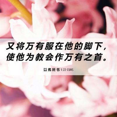 Picture 06 - 以 弗 所 书 1:22 CUVS - 又 将 万 有 服 在 他 的 脚 下 ， 使 - Bible Verse Picture