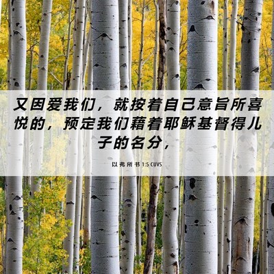 Picture 06 - 以 弗 所 书 1:5 CUVS - 又 因 爱 我 们 ， 就 按 着 自 己 意 - Bible Verse Picture