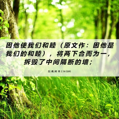 Picture 06 - 以 弗 所 书 2:14 CUVS - 因 他 使 我 们 和 睦 （ 原 文 作 ： - Bible Verse Picture