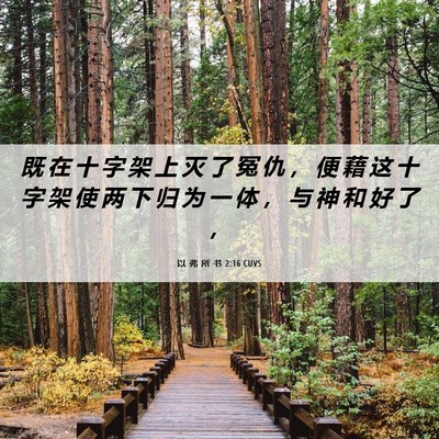 Picture 06 - 以 弗 所 书 2:16 CUVS - 既 在 十 字 架 上 灭 了 冤 仇 ， 便 - Bible Verse Picture