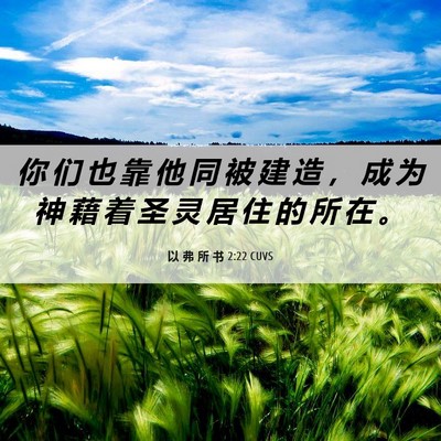 Picture 06 - 以 弗 所 书 2:22 CUVS - 你 们 也 靠 他 同 被 建 造 ， 成 为 - Bible Verse Picture