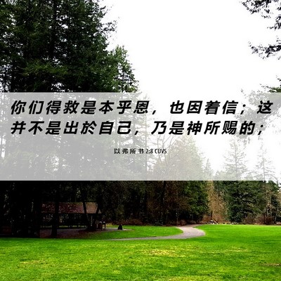Picture 06 - 以 弗 所 书 2:8 CUVS - 你 们 得 救 是 本 乎 恩 ， 也 因 着 - Bible Verse Picture