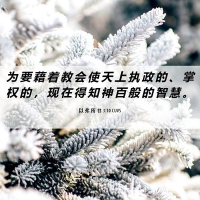 Picture 06 - 以 弗 所 书 3:10 CUVS - 为 要 藉 着 教 会 使 天 上 执 政 的 - Bible Verse Picture