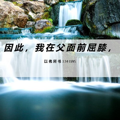 Picture 06 - 以 弗 所 书 3:14 CUVS - 因 此 ， 我 在 父 面 前 屈 膝 - Bible Verse Picture
