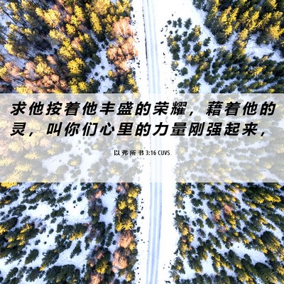 Picture 06 - 以 弗 所 书 3:16 CUVS - 求 他 按 着 他 丰 盛 的 荣 耀 ， 藉 - Bible Verse Picture