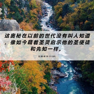 Picture 06 - 以 弗 所 书 3:5 CUVS - 这 奥 秘 在 以 前 的 世 代 没 有 叫 - Bible Verse Picture