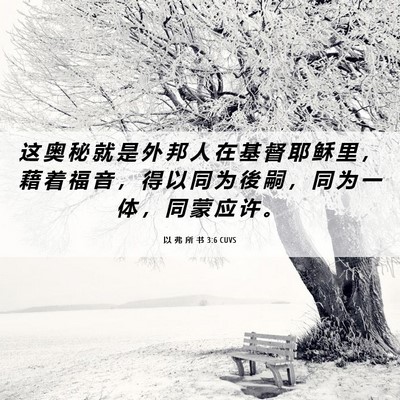 Picture 06 - 以 弗 所 书 3:6 CUVS - 这 奥 秘 就 是 外 邦 人 在 基 督 耶 - Bible Verse Picture