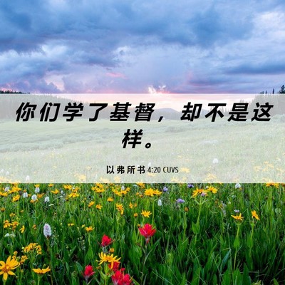 Picture 06 - 以 弗 所 书 4:20 CUVS - 你 们 学 了 基 督 ， 却 不 是 这 样 - Bible Verse Picture