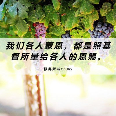 Picture 06 - 以 弗 所 书 4:7 CUVS - 我 们 各 人 蒙 恩 ， 都 是 照 基 督 - Bible Verse Picture