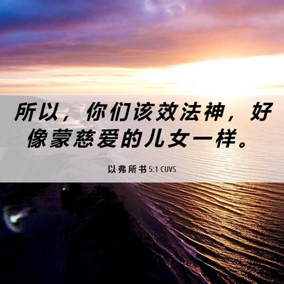 Picture 06 - 以 弗 所 书 5:1 CUVS - 所 以 ， 你 们 该 效 法 神 ， 好 像 - Bible Verse Picture