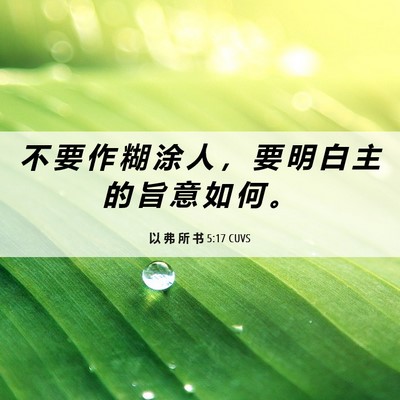 Picture 06 - 以 弗 所 书 5:17 CUVS - 不 要 作 糊 涂 人 ， 要 明 白 主 的 - Bible Verse Picture