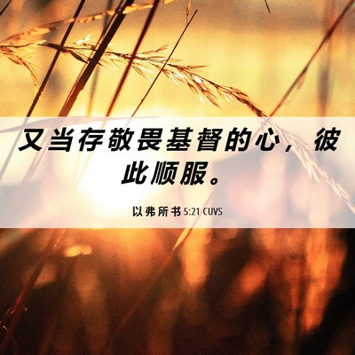 Picture 06 - 以 弗 所 书 5:21 CUVS - 又 当 存 敬 畏 基 督 的 心 ， 彼 此 - Bible Verse Picture