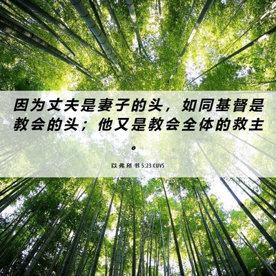 Picture 06 - 以 弗 所 书 5:23 CUVS - 因 为 丈 夫 是 妻 子 的 头 ， 如 同 - Bible Verse Picture
