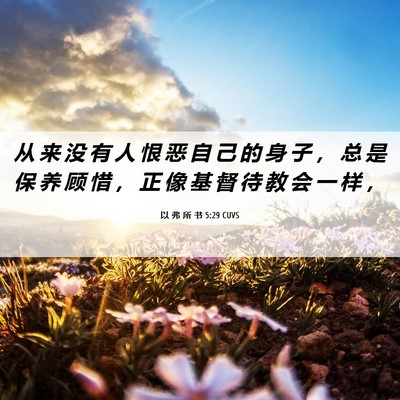 Picture 06 - 以 弗 所 书 5:29 CUVS - 从 来 没 有 人 恨 恶 自 己 的 身 子 - Bible Verse Picture