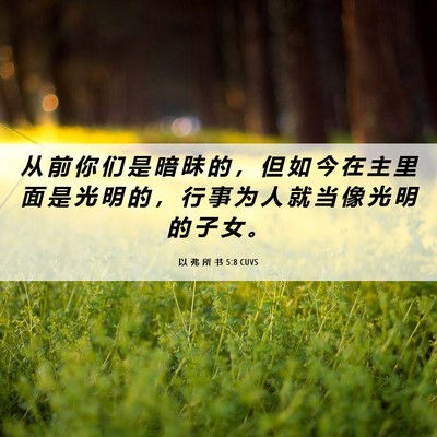 Picture 06 - 以 弗 所 书 5:8 CUVS - 从 前 你 们 是 暗 昧 的 ， 但 如 今 - Bible Verse Picture
