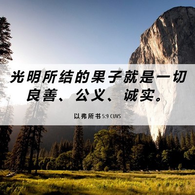 Picture 06 - 以 弗 所 书 5:9 CUVS - 光 明 所 结 的 果 子 就 是 一 切 良 - Bible Verse Picture