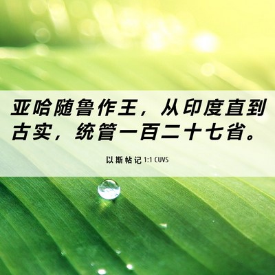 Picture 06 - 以 斯 帖 记 1:1 CUVS - 亚 哈 随 鲁 作 王 ， 从 印 度 直 到 - Bible Verse Picture