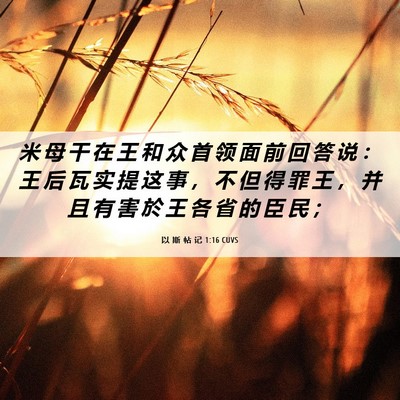Picture 06 - 以 斯 帖 记 1:16 CUVS - 米 母 干 在 王 和 众 首 领 面 前 回 - Bible Verse Picture