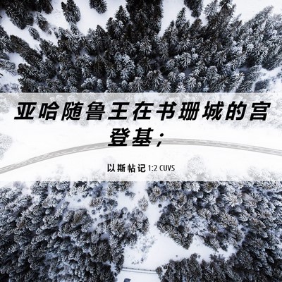 Picture 06 - 以 斯 帖 记 1:2 CUVS - 亚 哈 随 鲁 王 在 书 珊 城 的 宫 登 - Bible Verse Picture
