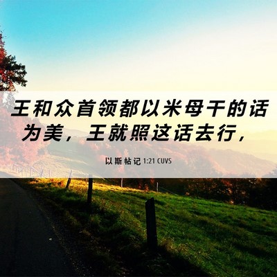 Picture 06 - 以 斯 帖 记 1:21 CUVS - 王 和 众 首 领 都 以 米 母 干 的 话 - Bible Verse Picture