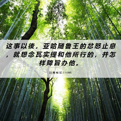 Picture 06 - 以 斯 帖 记 2:1 CUVS - 这 事 以 後 ， 亚 哈 随 鲁 王 的 忿 - Bible Verse Picture