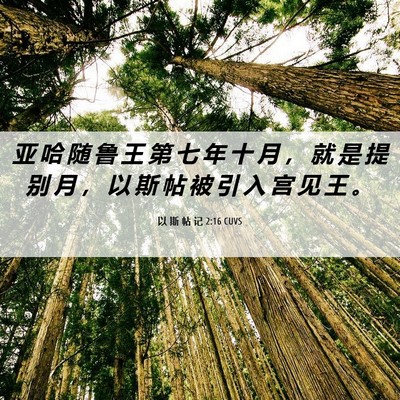 Picture 06 - 以 斯 帖 记 2:16 CUVS - 亚 哈 随 鲁 王 第 七 年 十 月 ， 就 - Bible Verse Picture