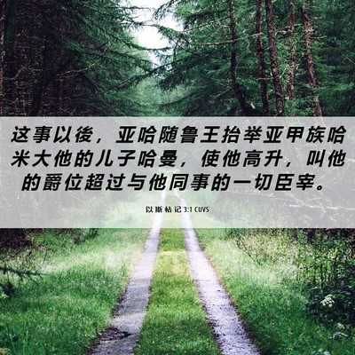 Picture 06 - 以 斯 帖 记 3:1 CUVS - 这 事 以 後 ， 亚 哈 随 鲁 王 抬 举 - Bible Verse Picture