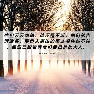 Picture 06 - 以 斯 帖 记 3:4 CUVS - 他 们 天 天 劝 他 ， 他 还 是 不 听 - Bible Verse Picture