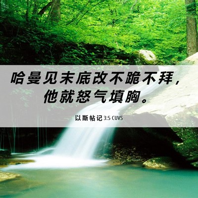 Picture 06 - 以 斯 帖 记 3:5 CUVS - 哈 曼 见 末 底 改 不 跪 不 拜 ， 他 - Bible Verse Picture