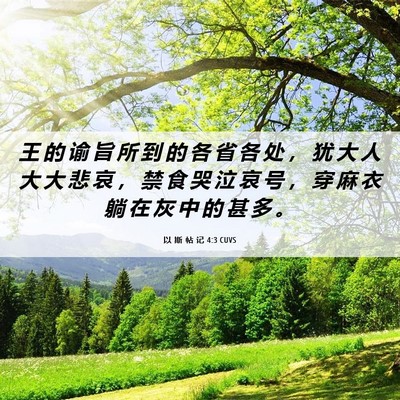 Picture 06 - 以 斯 帖 记 4:3 CUVS - 王 的 谕 旨 所 到 的 各 省 各 处 ， - Bible Verse Picture