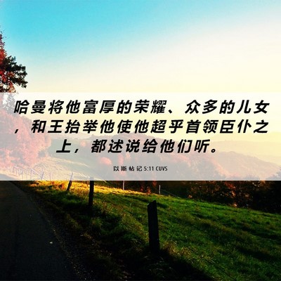 Picture 06 - 以 斯 帖 记 5:11 CUVS - 哈 曼 将 他 富 厚 的 荣 耀 、 众 多 - Bible Verse Picture