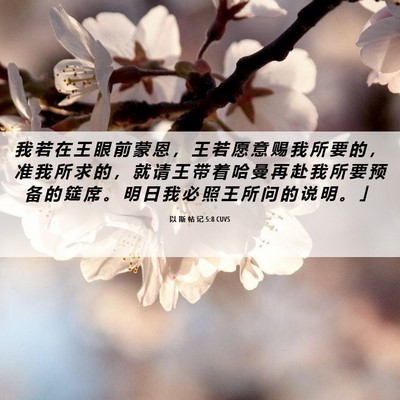 Picture 06 - 以 斯 帖 记 5:8 CUVS - 我 若 在 王 眼 前 蒙 恩 ， 王 若 愿 - Bible Verse Picture
