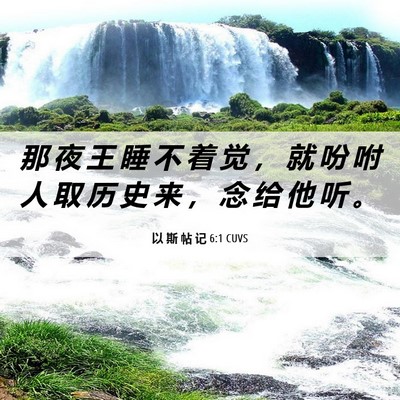 Picture 06 - 以 斯 帖 记 6:1 CUVS - 那 夜 王 睡 不 着 觉 ， 就 吩 咐 人 - Bible Verse Picture