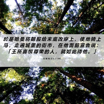 Picture 06 - 以 斯 帖 记 6:11 CUVS - 於 是 哈 曼 将 朝 服 给 末 底 改 穿 - Bible Verse Picture