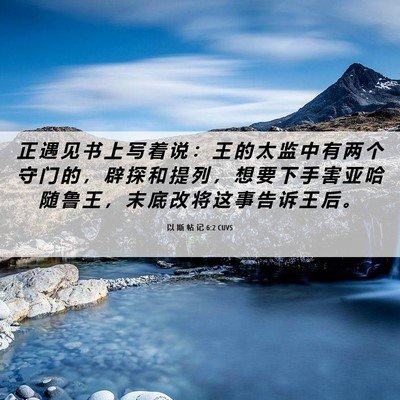 Picture 06 - 以 斯 帖 记 6:2 CUVS - 正 遇 见 书 上 写 着 说 ： 王 的 太 - Bible Verse Picture