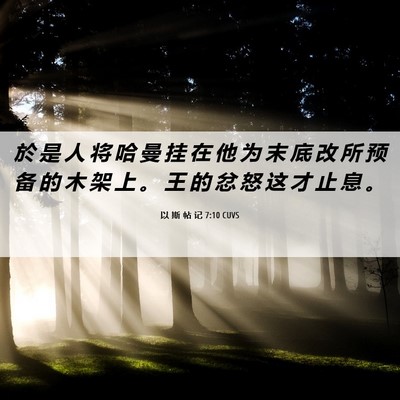 Picture 06 - 以 斯 帖 记 7:10 CUVS - 於 是 人 将 哈 曼 挂 在 他 为 末 底 - Bible Verse Picture