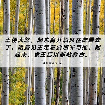 Picture 06 - 以 斯 帖 记 7:7 CUVS - 王 便 大 怒 ， 起 来 离 开 酒 席 往 - Bible Verse Picture