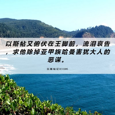 Picture 06 - 以 斯 帖 记 8:3 CUVS - 以 斯 帖 又 俯 伏 在 王 脚 前 ， 流 - Bible Verse Picture