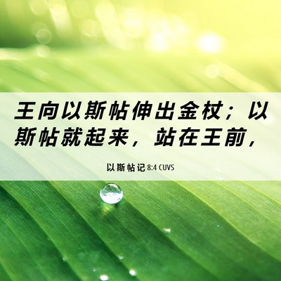 Picture 06 - 以 斯 帖 记 8:4 CUVS - 王 向 以 斯 帖 伸 出 金 杖 ； 以 斯 - Bible Verse Picture